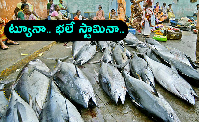 Full-Demand-For-Tuna-Fish-In-Many.jpg