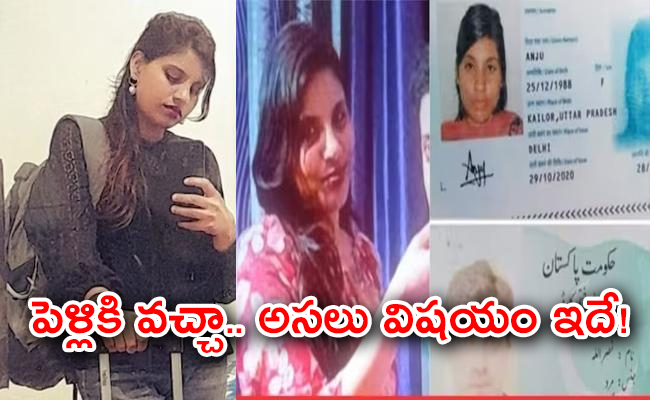 not-seema-haider-will-return-india-woman-who-went-pak-love.jpg