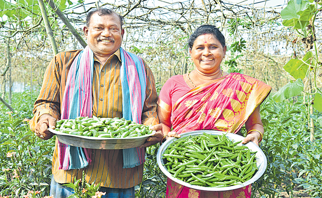 Agri.jpg