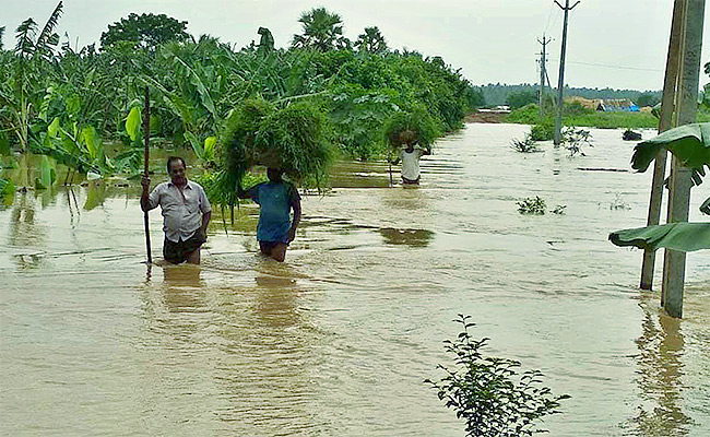 Andhra-Pradesh-witnesses-Heavy-Rain-Fall.jpg