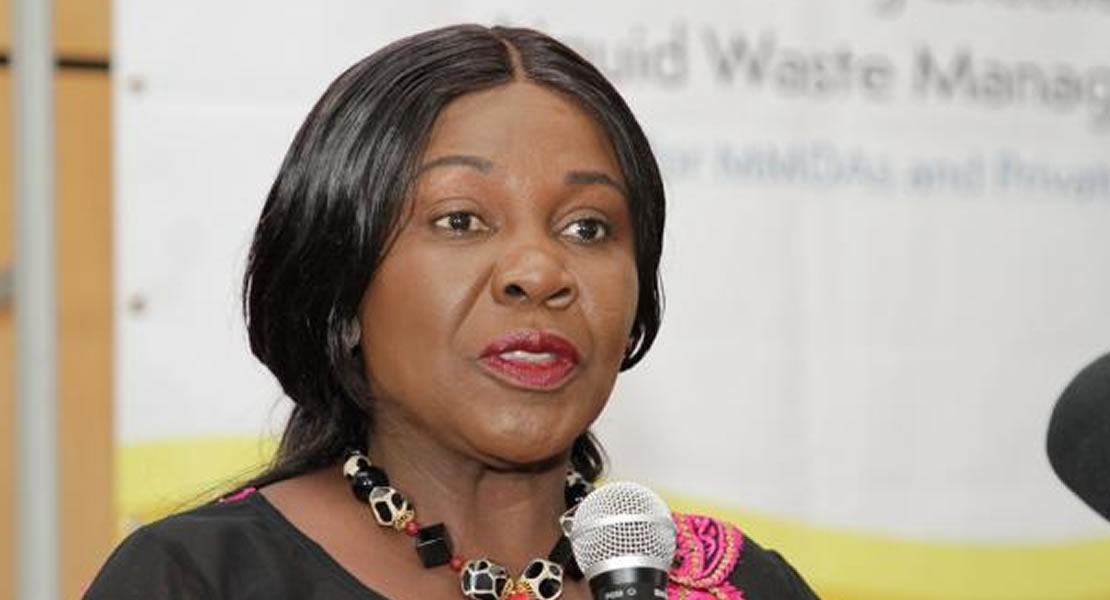 Cecilia_Abena_Dapaah.jpg