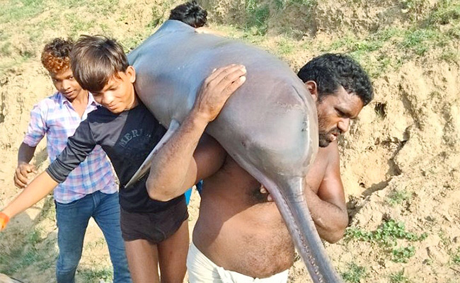 Kaushambi.jpg