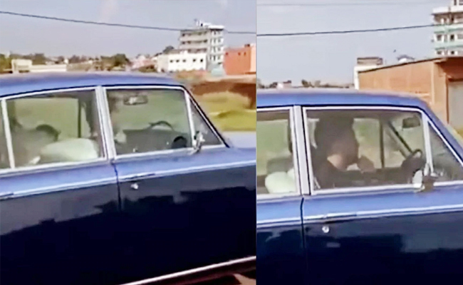 dhoni-viral-video.jpg