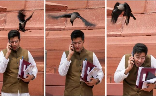aap.jpg
