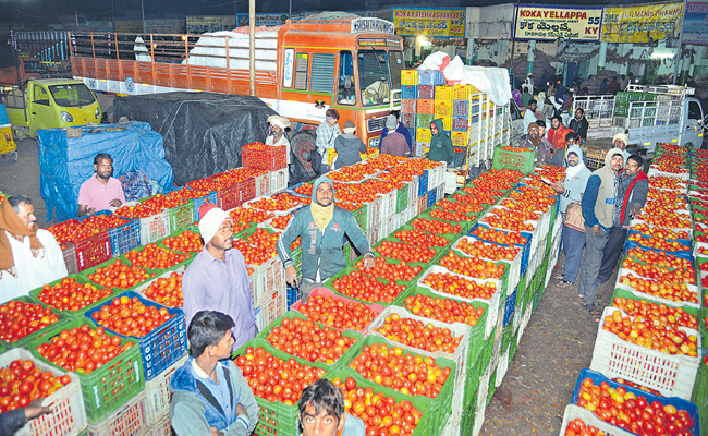 Tomato-Crop-Sale.jpg