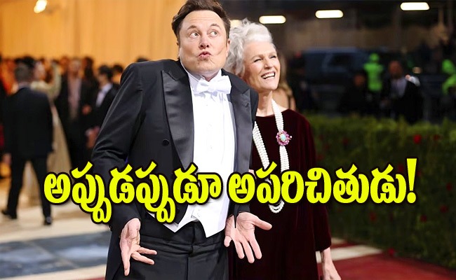 elon_musk_facts.jpeg