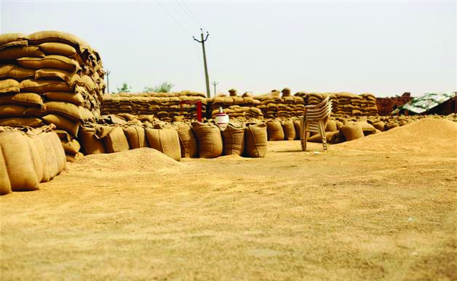 grains.jpg
