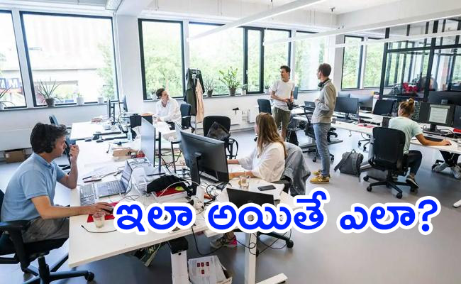 IT-Company-Employees.jpg