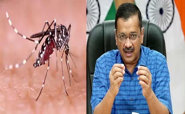delhi.jpg