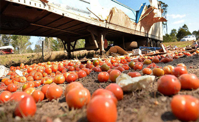tomato_20lorry.jpg