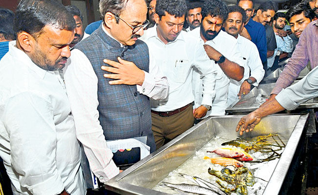 foodfest.jpg
