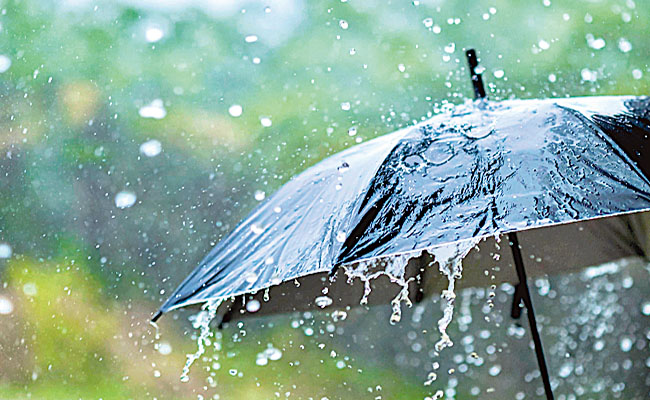 rains.jpg
