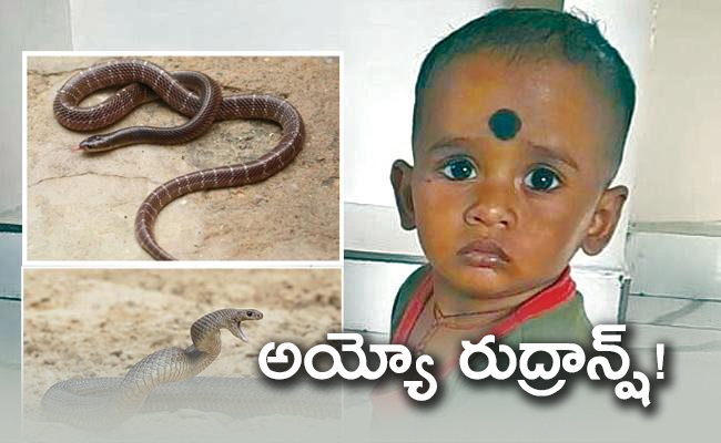 rudransh_650x400.jpg