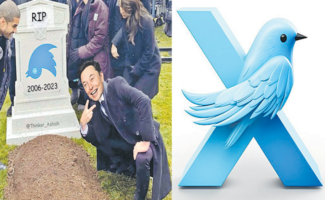 twitter.jpg