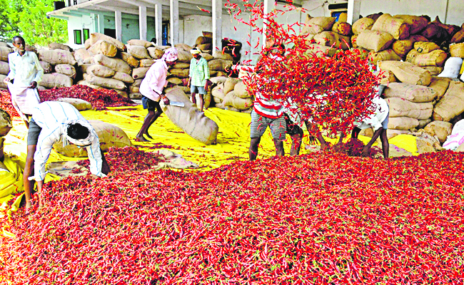 GUNTUR_20KARAM.jpg