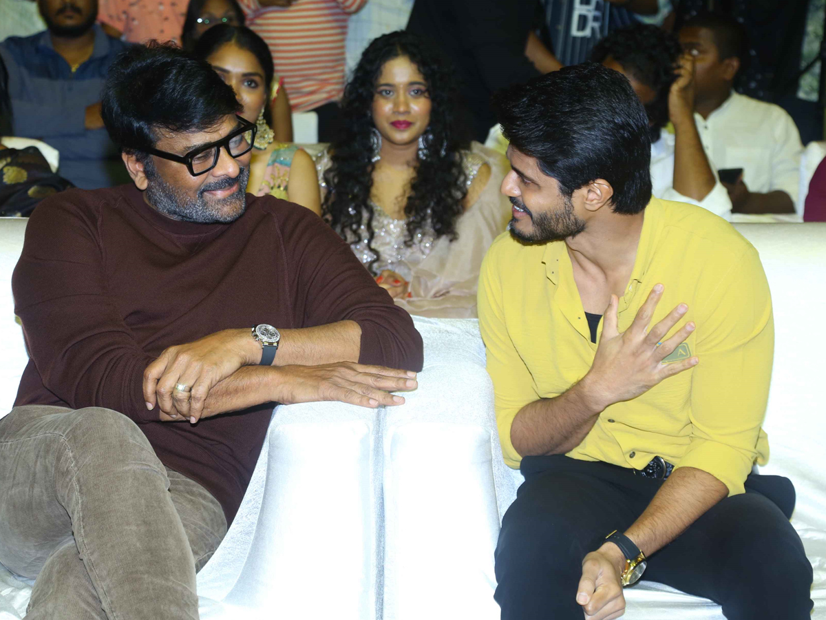 anand-devarakonda-chiranjeevi.jpg 13