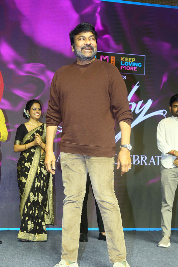 chiranjeevi-successmeet.jpg 28
