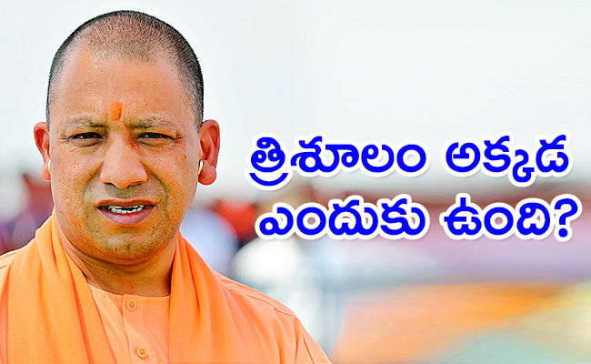 yogi.jpg1_.jpg