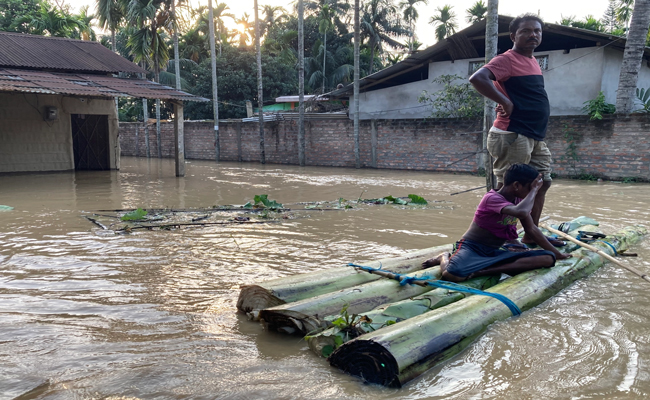 flood-dead.jpg