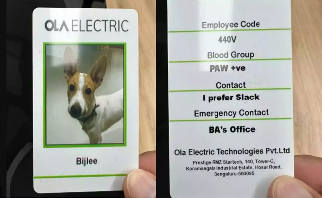 ola-electric-dog-employee.jpg