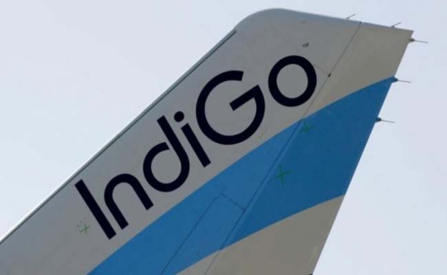 indigo.jpg