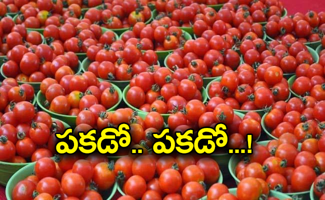 tomato-price-can-go-rs-300-kg-check-reasons_0.jpg