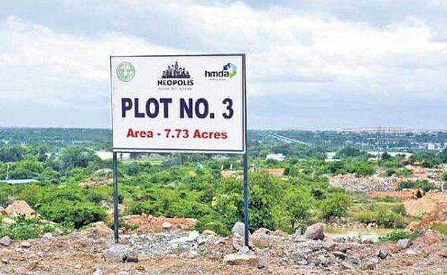 kokapeta_20land.jpg 3