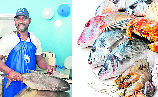 fish.jpg