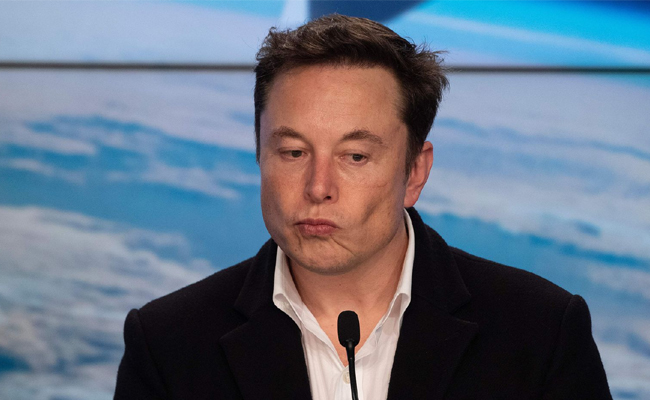 elon-musk-tweet-about-cage-fight.jpg