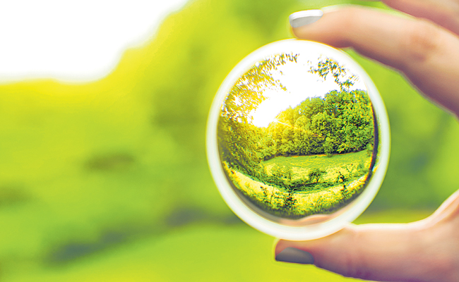 iStock-1264340404.jpg