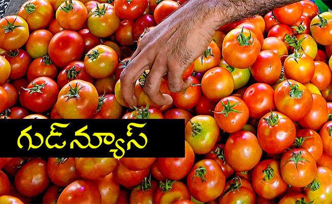 Tomato-Prices-Decreasing-Know.jpg
