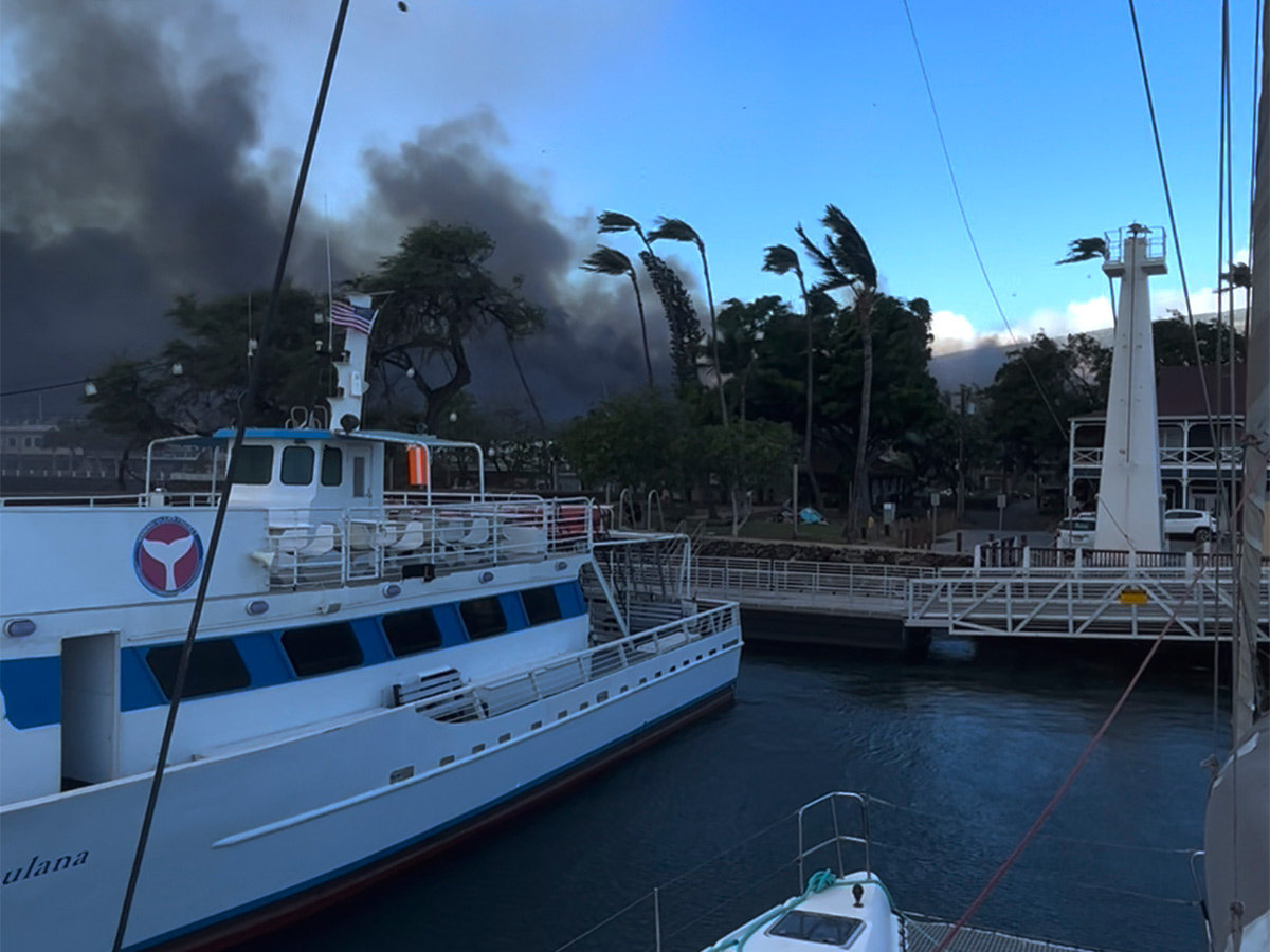 Dozens_20killed_20as_20wildfires_20ravage_20Hawaii_20island_20of_20Maui-17.jpg 14