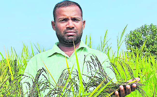 srinivas_0.jpg