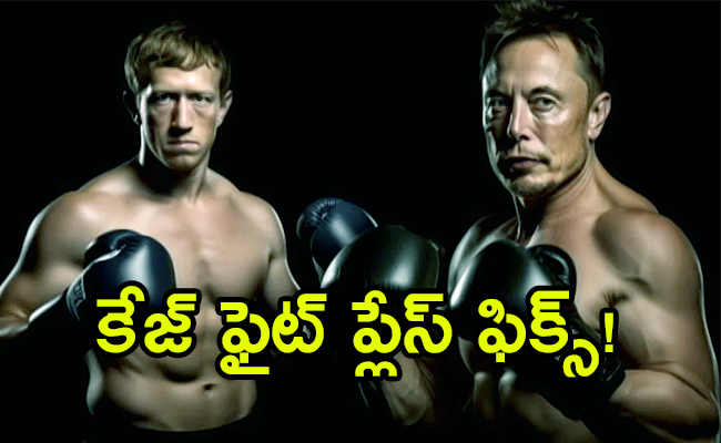 musk-and-mark-zuckerberg-cage-fight-place-fix.jpg
