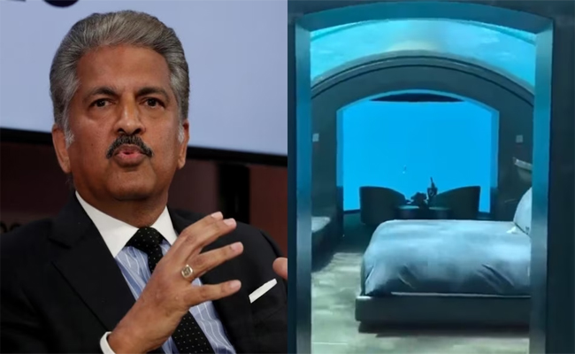 anand-mahindra-maldives-video.jpg