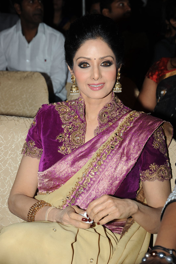 happy_20birthday_20sridevi_35.jpg 36