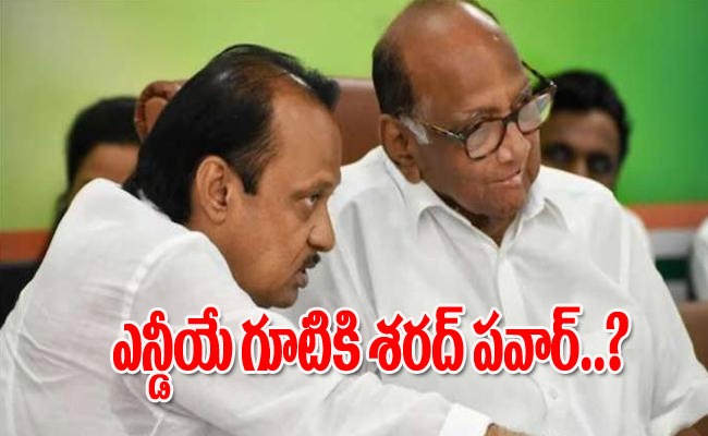 sharahtpawar_img.jpeg