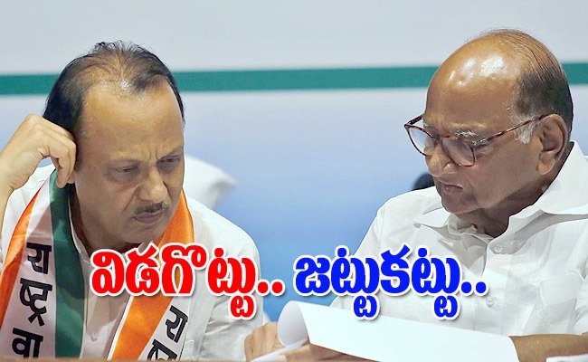 sharathajithpawar_img.jpeg
