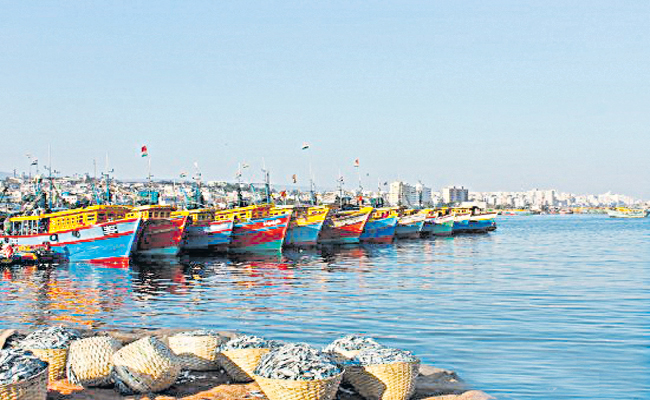 BOATIN-AT-FISHING-HARBOUR.jpg