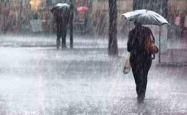 Rain.jpg