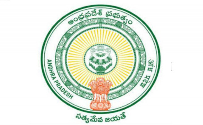 AP_20LOGO.jpg