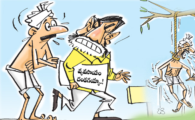 cbn.jpg