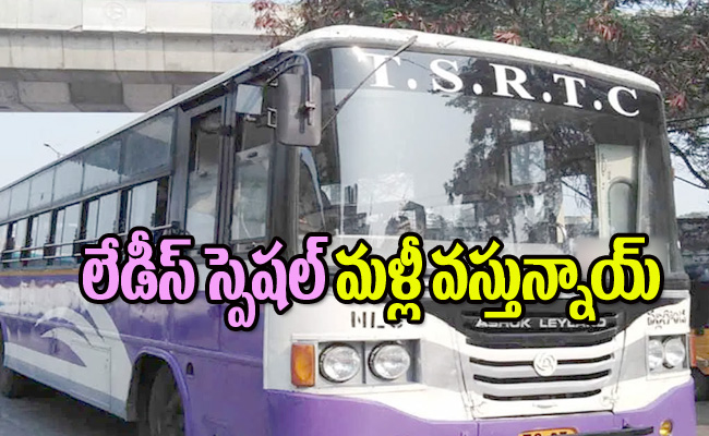 ladies-special-bus.jpg