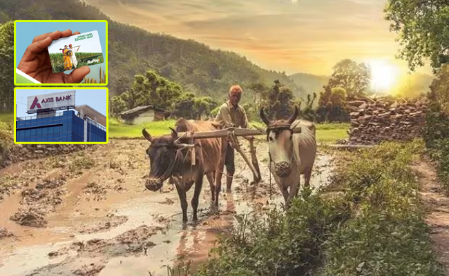 kisan_20credit_20card.jpg