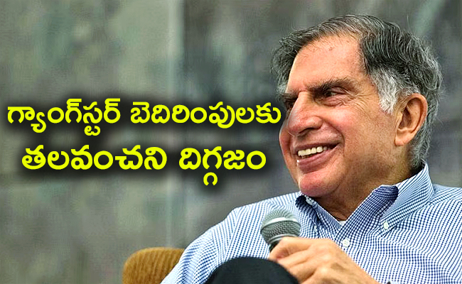 ratan-tata.jpg
