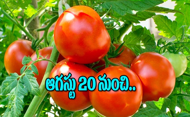 tomotoes-at-rs-40-per-kg.jpg