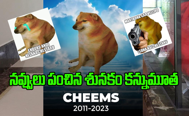 Cheems-Dog-Death.jpg