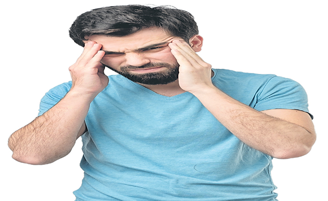 brain1.jpg