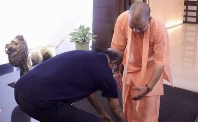 yogi.jpg