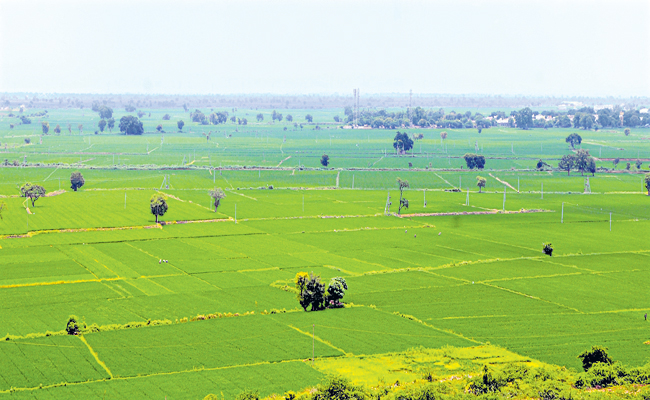 AGRI.jpg